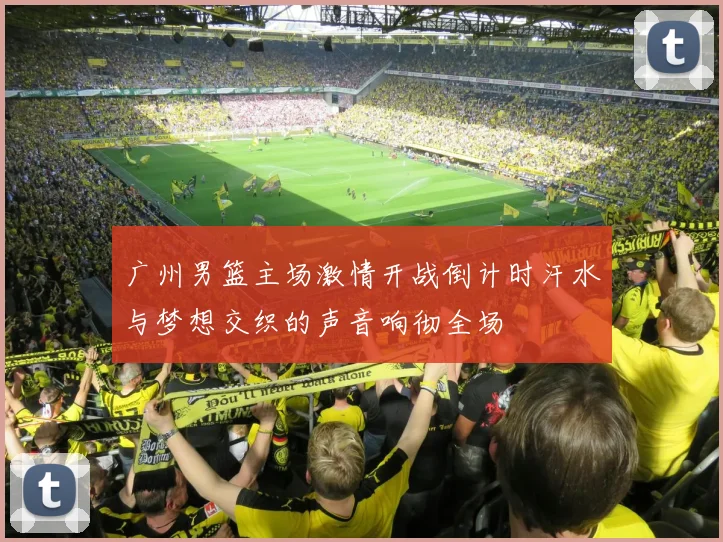广州男篮主场激情开战倒计时汗水与梦想交织的声音响彻全场