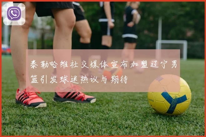 泰勒哈维社交媒体宣布加盟辽宁男篮引发球迷热议与期待