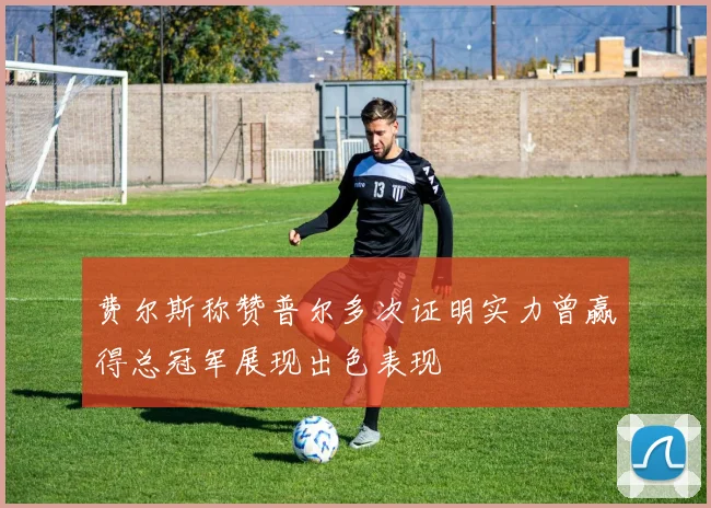 费尔斯称赞普尔多次证明实力曾赢得总冠军展现出色表现