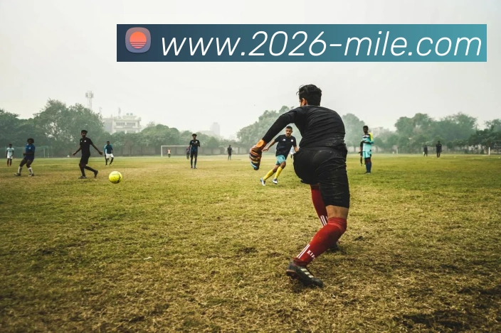 米乐体育平台生态图